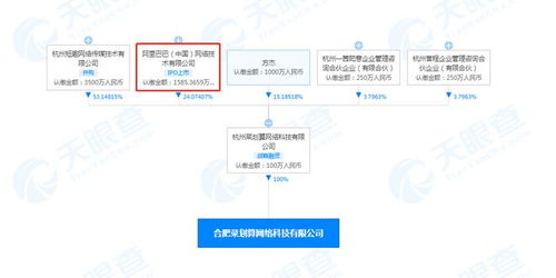 阿里系再拓新局 成立合肥菜劃算，賦能農產品銷售與網絡技術融合