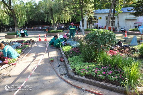 以賽促練強技能 匠心鑄就城市美——資陽市園林綠化管理處成功舉辦第十四屆“十萬職工大練兵、大比賽、技藝大比武”活動