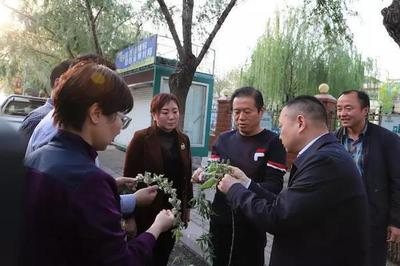 楊柳絮治理新探索 漯河市創新物業管理模式應對飛絮季